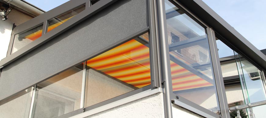 Glas- und Glasdachreinigung